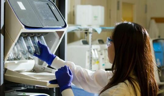 重点进步!首个遗传性朊病毒疾病全人类小鼠模型开放成功