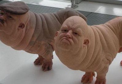 【动物实验】-科学家试图在猪、羊体内培育人体器官