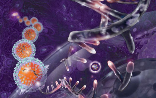 【动物造模】-小鼠实验研究帮助突破基因新疗法