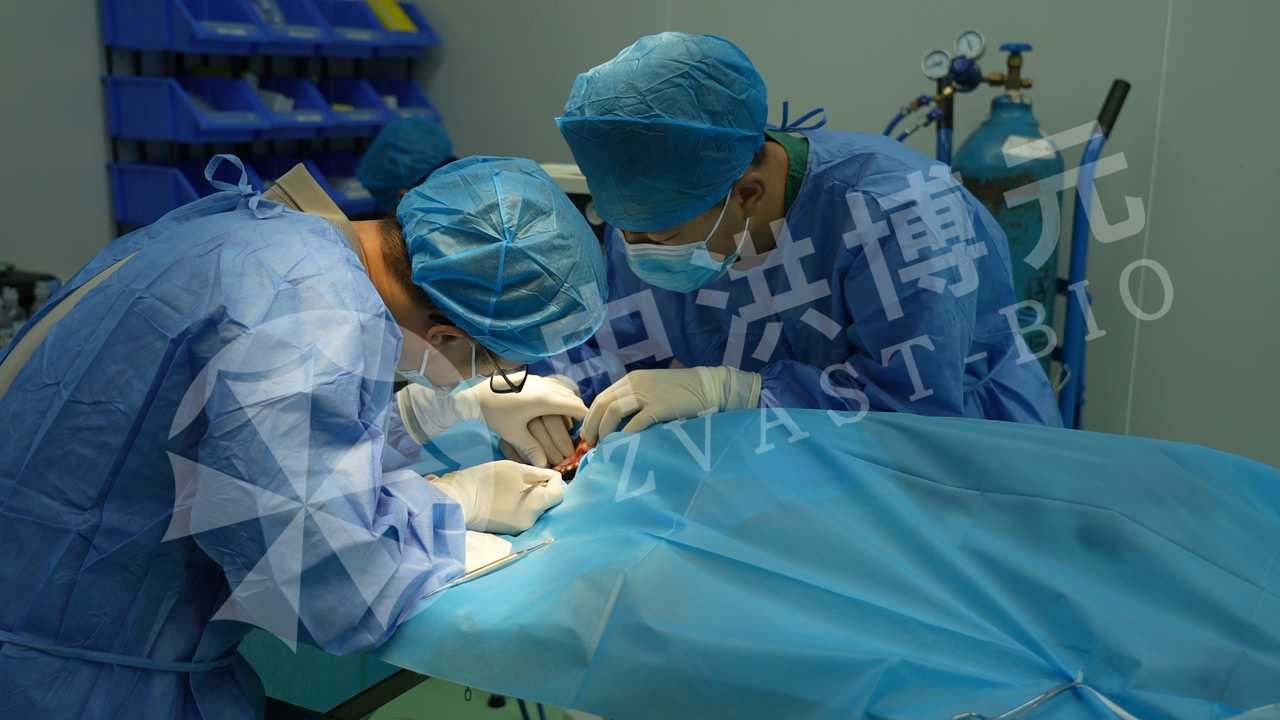 做实验，来中洪！每一张实验图，都是专业的证明！