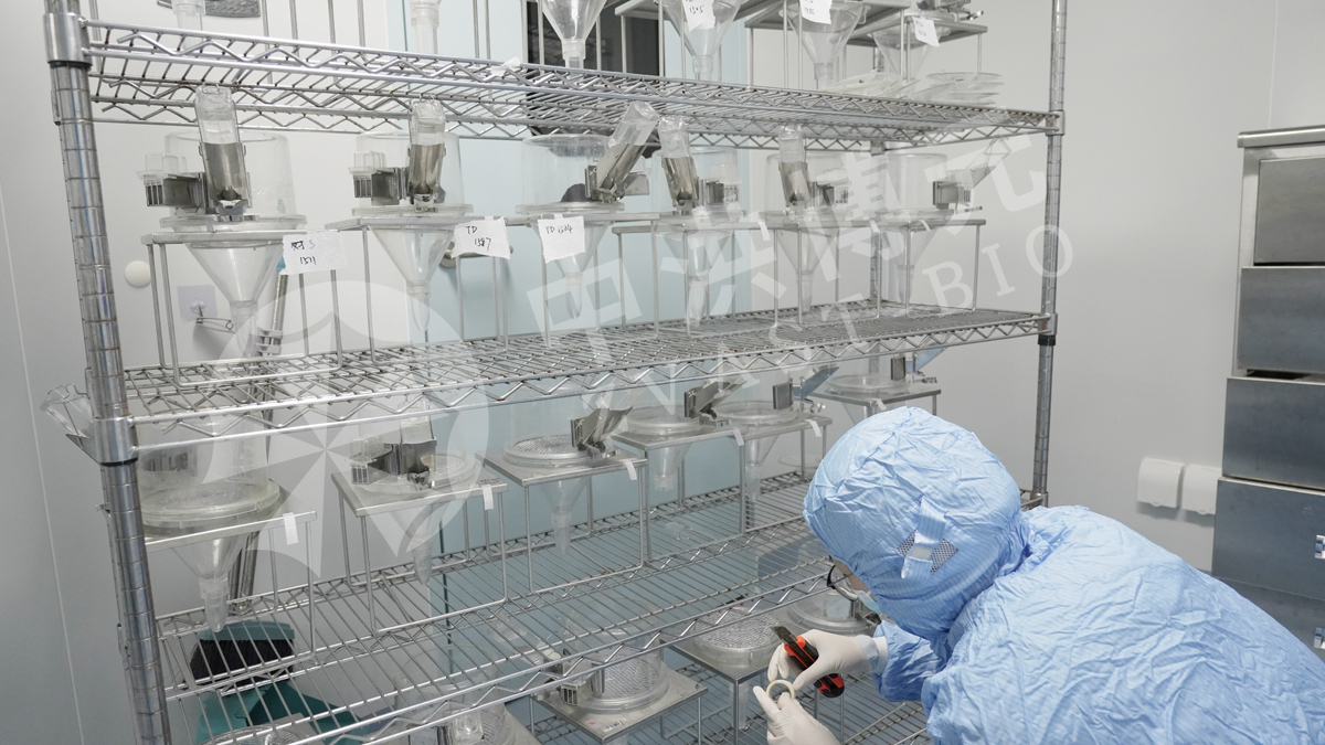 做实验,来中洪!标准操作,规范流程,专业看得见