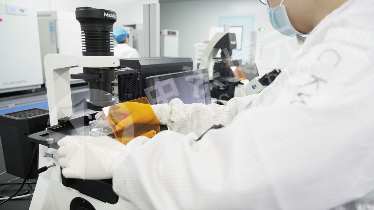 做实验,来中洪!镜下求真,实验见真章!