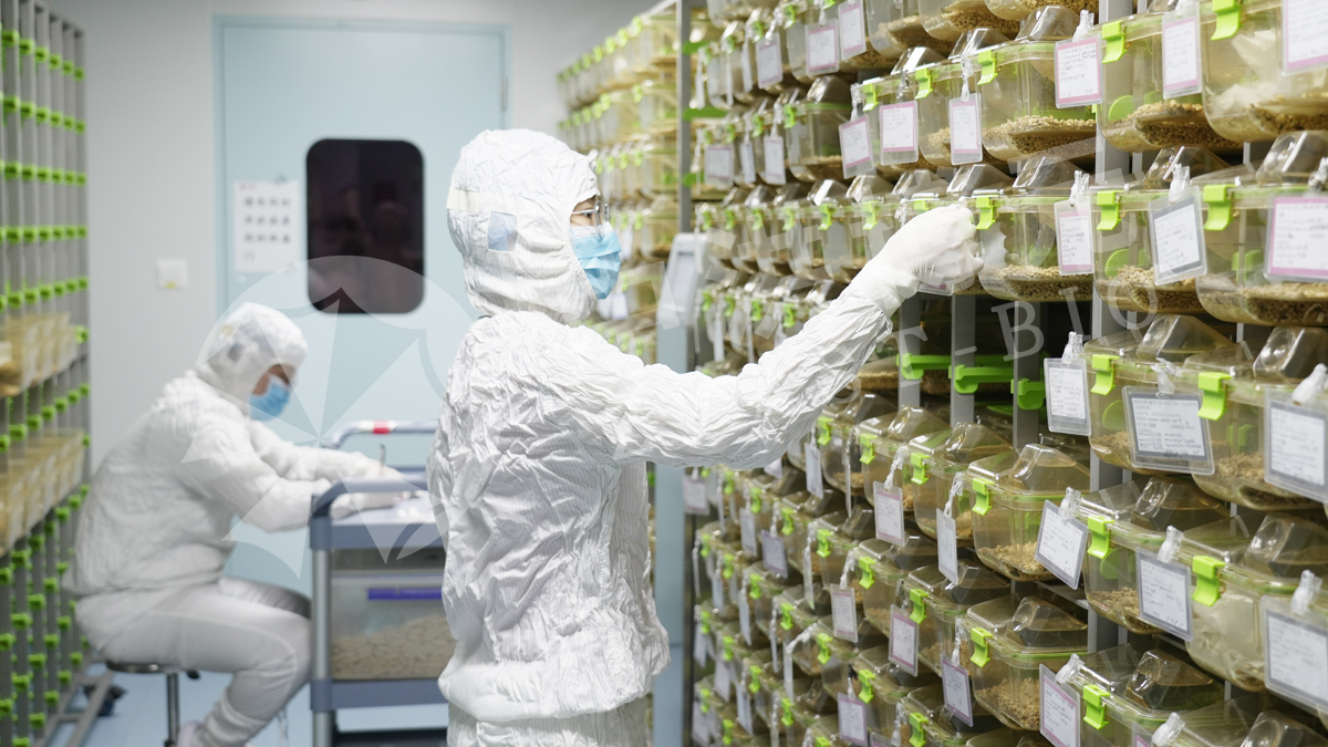 做实验,来中洪!高精设备 + 资深团队,中洪博元实验数据经得起考验