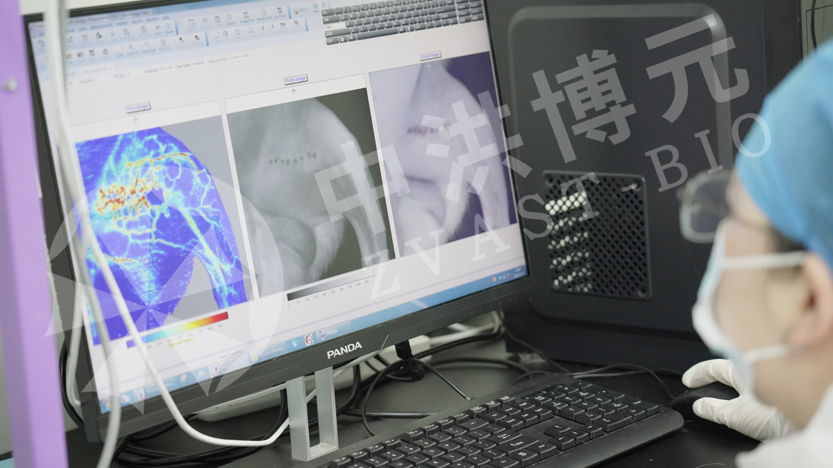 做实验,来中洪!严谨每一步,可靠每一组数据