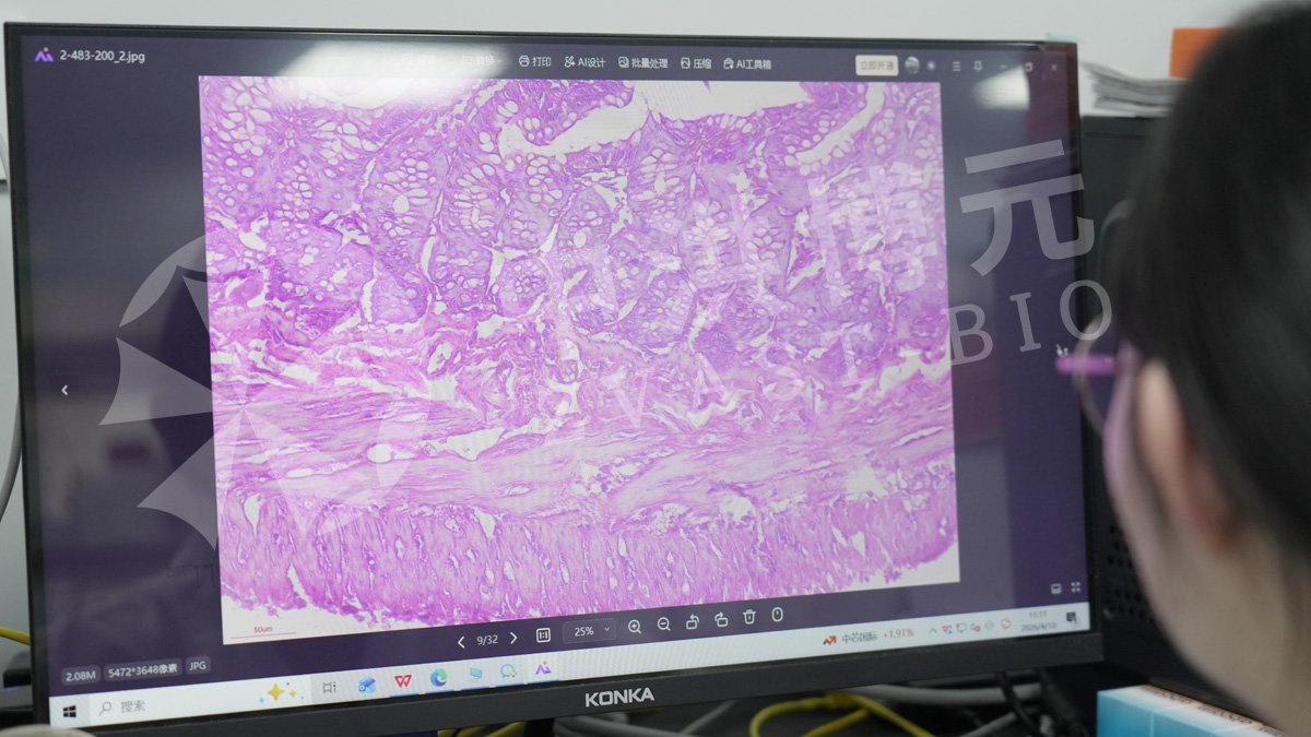 做实验，来中洪！高标准实验体系，可靠伙伴中洪博元